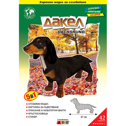 Дакел – без изрязване