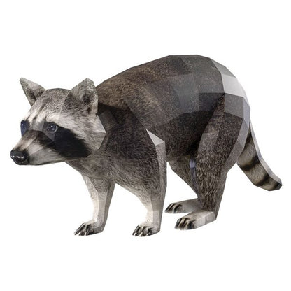 Енот