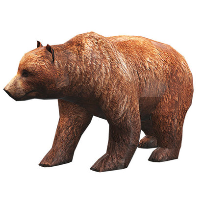 Кафява мечка (без изрязване)